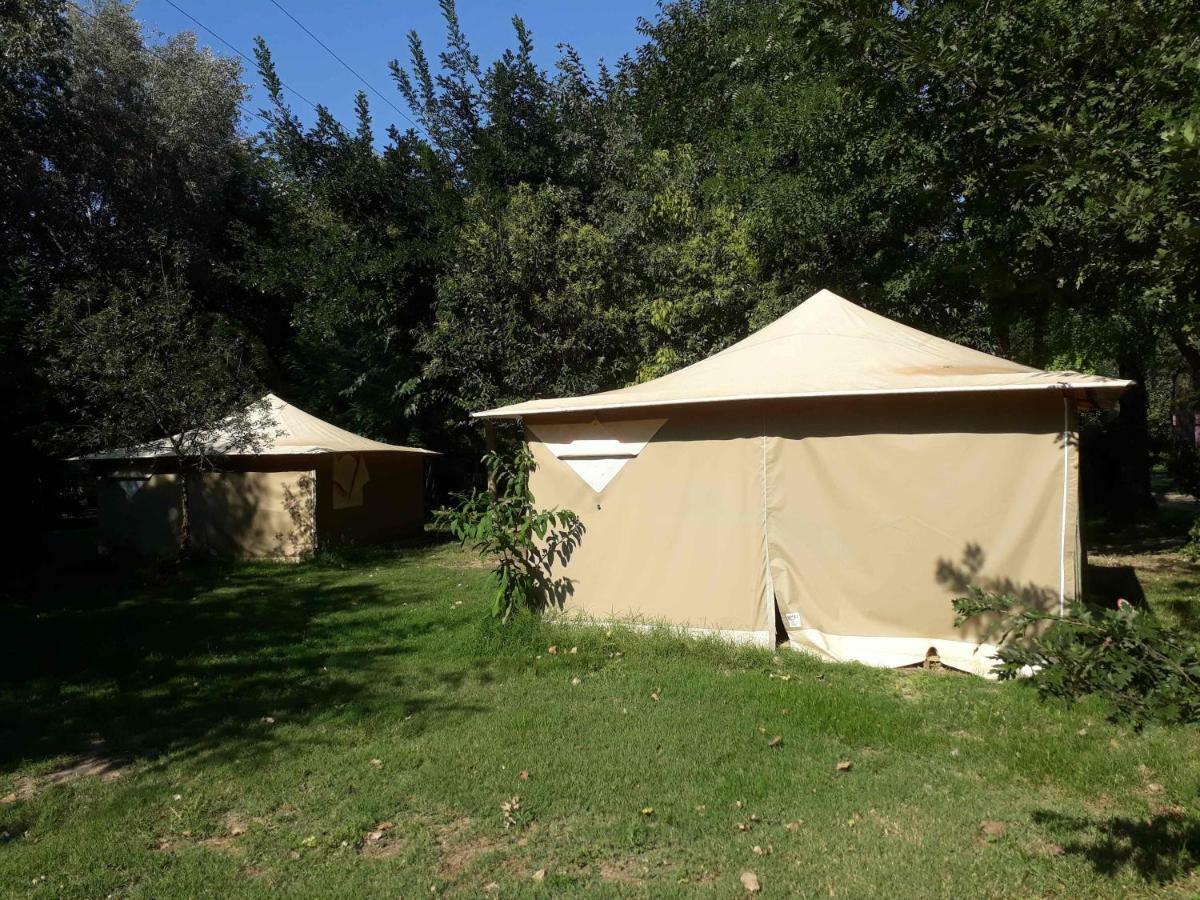 Camping Bellerive Montfrin Eksteriør bilde